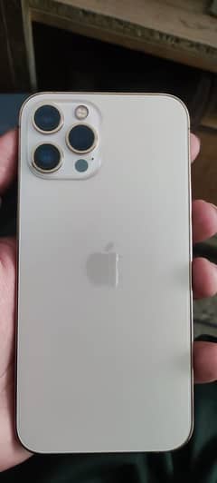 Iphone 12 pro max pta approved