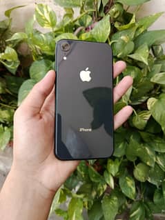 Iphone XR. PTA Approved