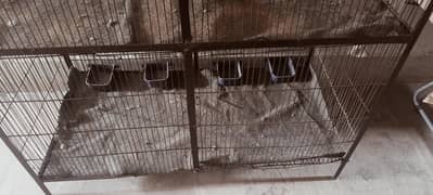 cage's