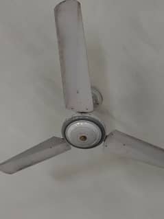 Celling Fan almost New Condition for sale. 56 Inch