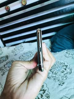 11 pro max