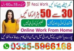 Part time/full time/Online/Data Entry/Typing/Content Writing