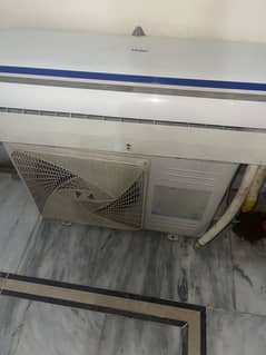Haier