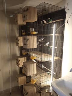 Java whole setup for sale