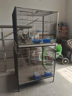 Iron Cages 1.5 x 1.5