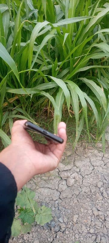 10/10 condition and use Non pta 6