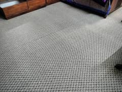 Carpet
