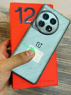 OnePlus 12 official pta