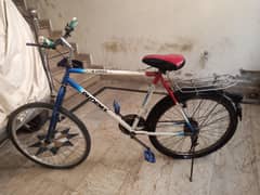phonex cycle