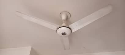 PAk Fan