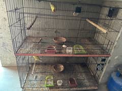 4 Portion cage for sale