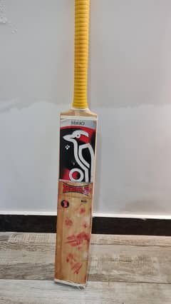 Cricket