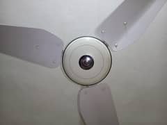 Ceiling Fan