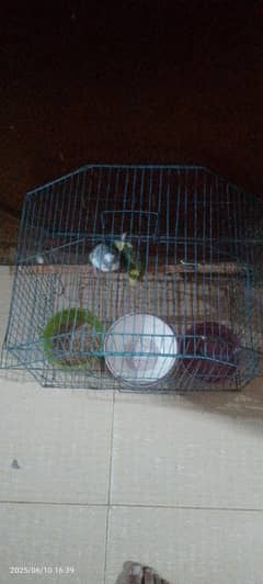 colour full pair