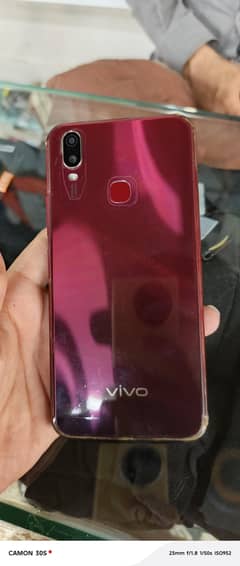 Vivo
