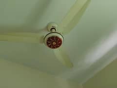 6 inverter fans +2beds