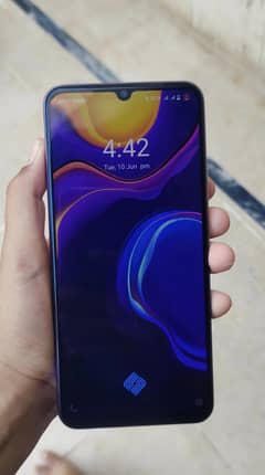 vivo