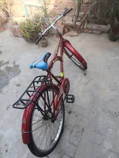 Cycle