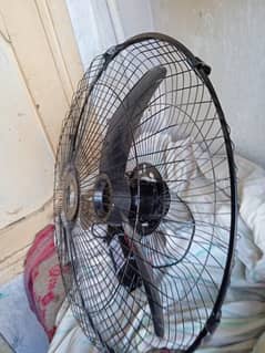 Fan