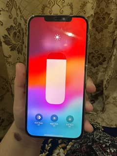 Iphone 12promax