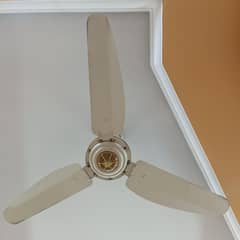 ceiling fans
