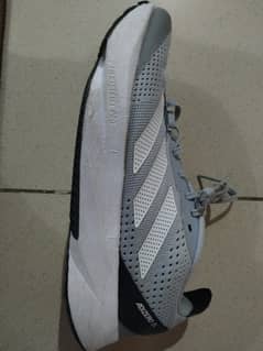 Addidas ADIZERO SL  shoes