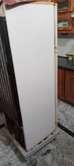 Pel refrigerator for sale