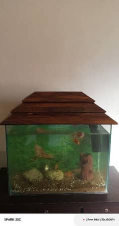 Fish with Aquarium