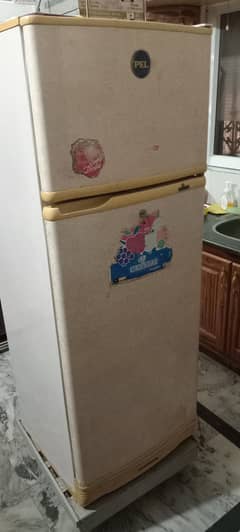 Pel refrigerator for sale