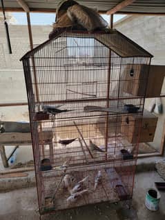 cages
