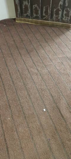 carpet 14.5 by 10 feet