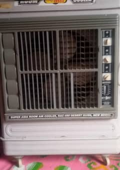 Brand New jumbo Super Asia Cooler