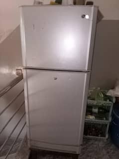 PEL fridge for urgent sale
