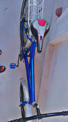 cycle