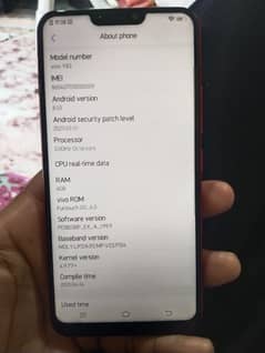 Vivo