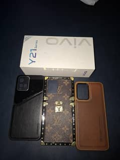 vivo