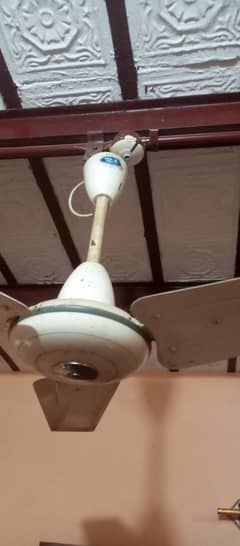 pak fan 56 inch fors sale