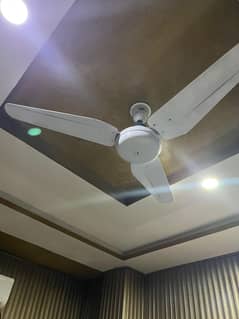 Celling Fan