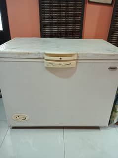 Waves Freezer for sale