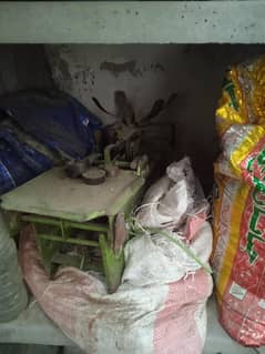 biryani thela ptila