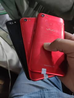 vivo