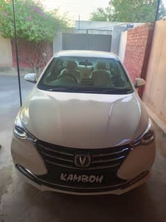 Chagan Alsvin for sale