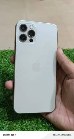 Iphone 12 pro 128GB Golden 88% Battery Health