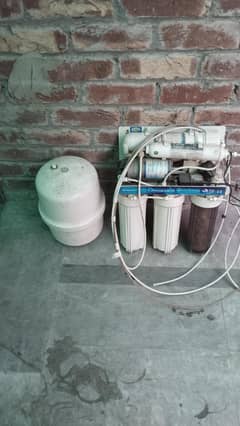 water plant