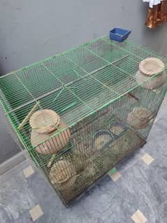 Bird's Cage for Sale.