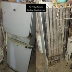 PEL FRIDGE REFRIGERATOR