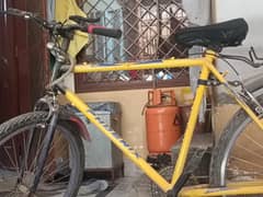 brand new bicycle for sale