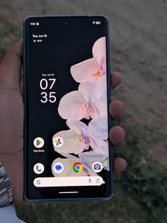 Google pixel 6 pro  dual approved