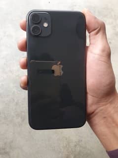 Apple 11