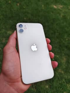 IPhone 11 (JV)